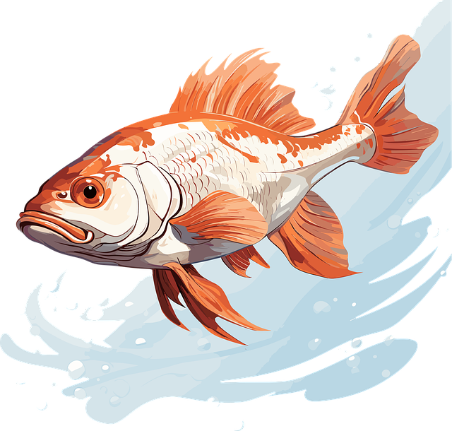 六盘水幼儿师范学校哪里好