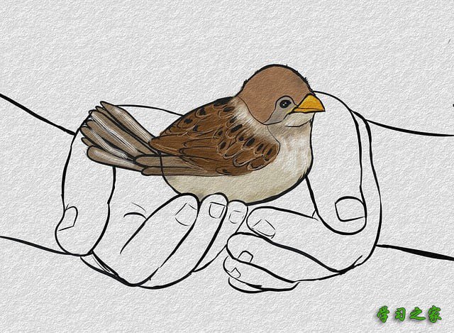 成都市轨道交通学校的就业有保障吗