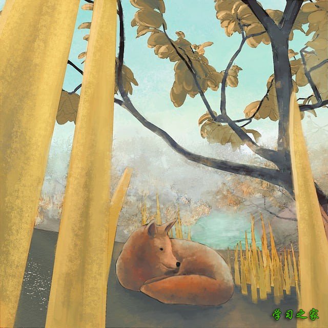 贵州省幼儿师范学校优势