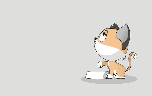 贵州市高铁学校就业保障