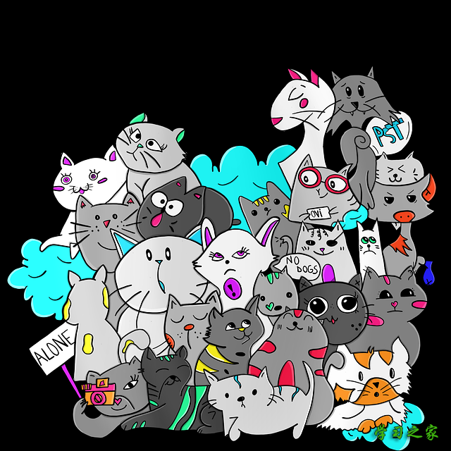 成都单招正规培训机构，成都单招正规培训机构有哪些