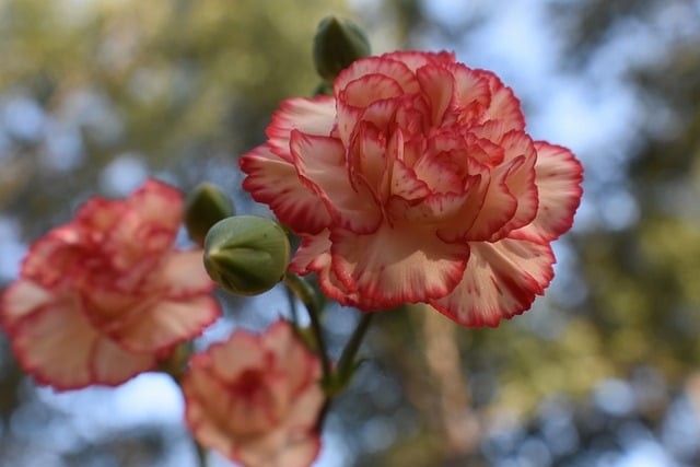 重庆市建筑工程职业技术学校的工程造价专业怎么样?