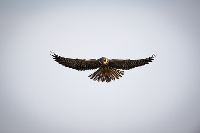 四川成都技校单招时间