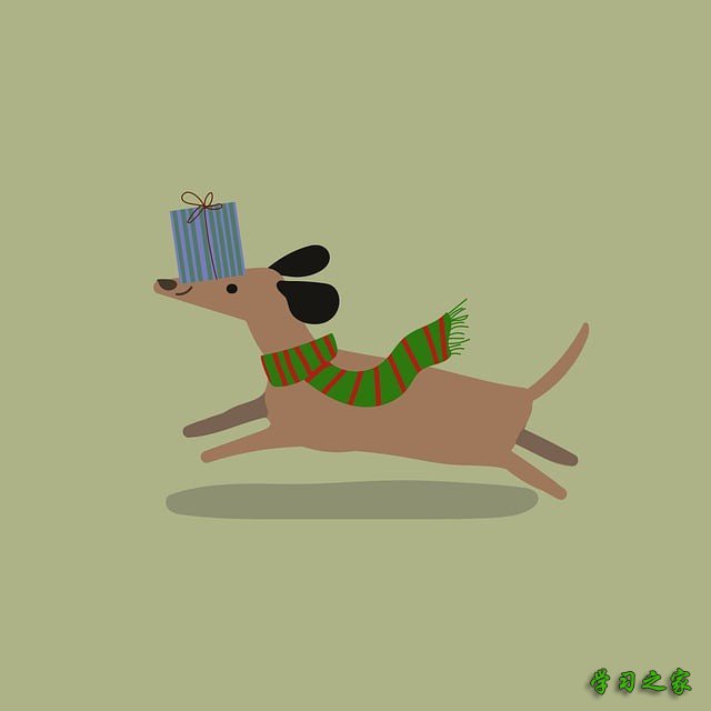 达县计算机职业高级中学2025年报名条件