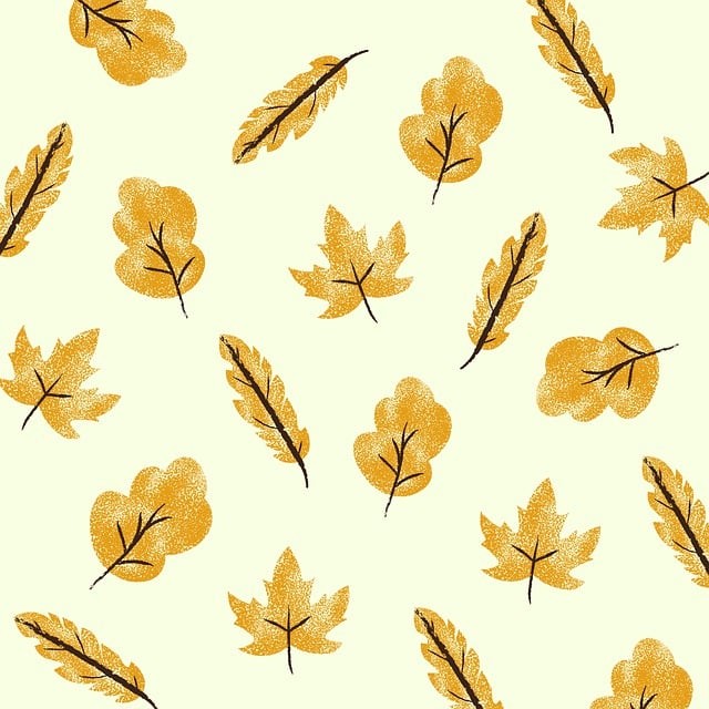 成都京师单招培训