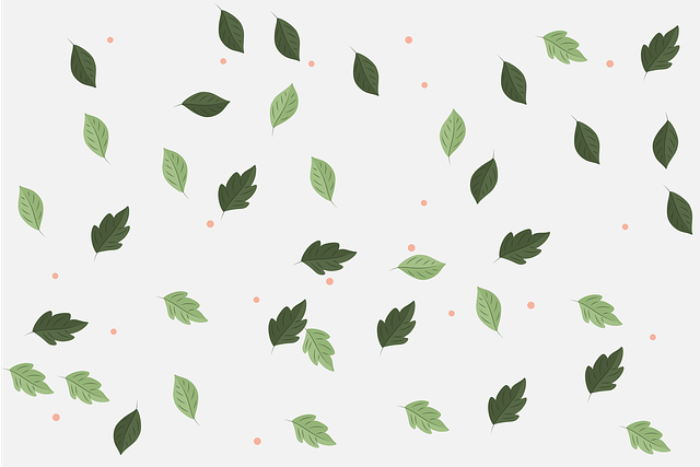 2025年贵阳航空专修学院学费是多少