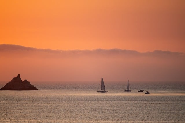 单招的培训机构成都