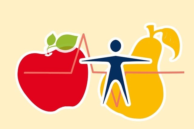 南充应用技术计算机职业学校2025年招生计划