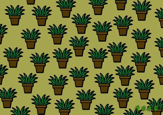 重庆市教育管理学校汽车运用与维修专业怎么样?