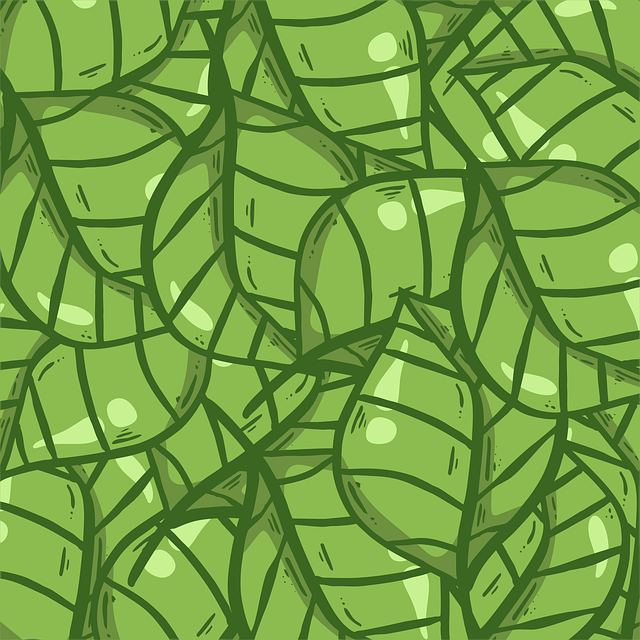 初中和高中起点的护理专业有什么不一样? 初中和高中起点的护理专业有什么不一样?