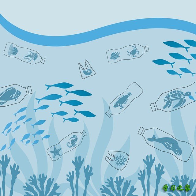 西安市艺术学校就业率高不高？2025年招生计划