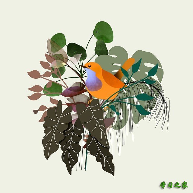 遵义初中毕业可不可以上中专学校吗