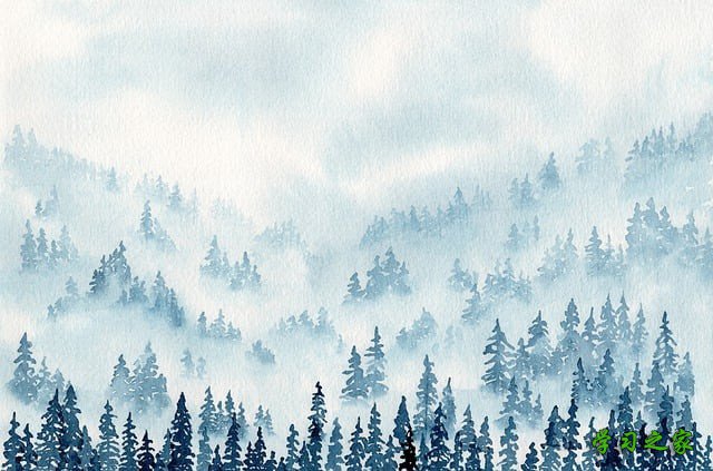 南充职工计算机大学2025年招生计划