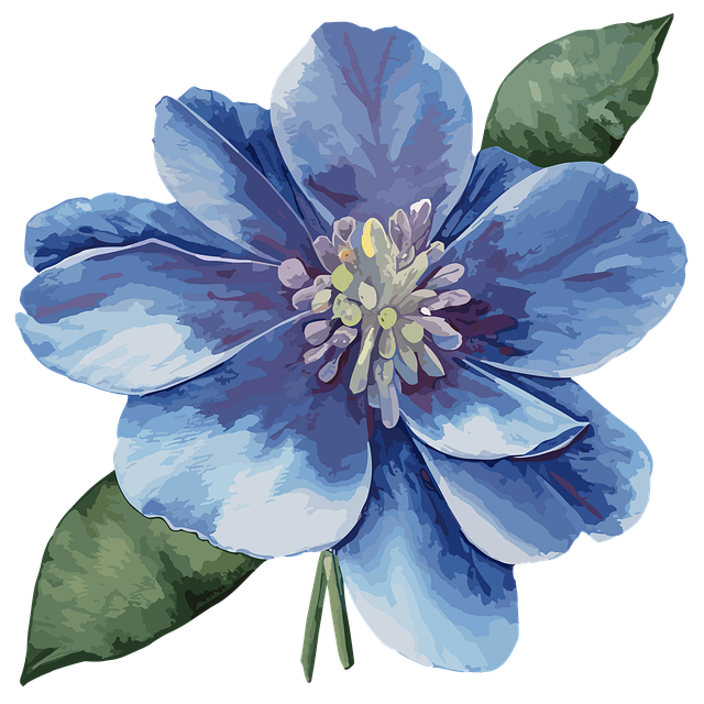 2025年贵州航空职业技术学院春季招生 2025年贵州航空职业技术学院春季招生