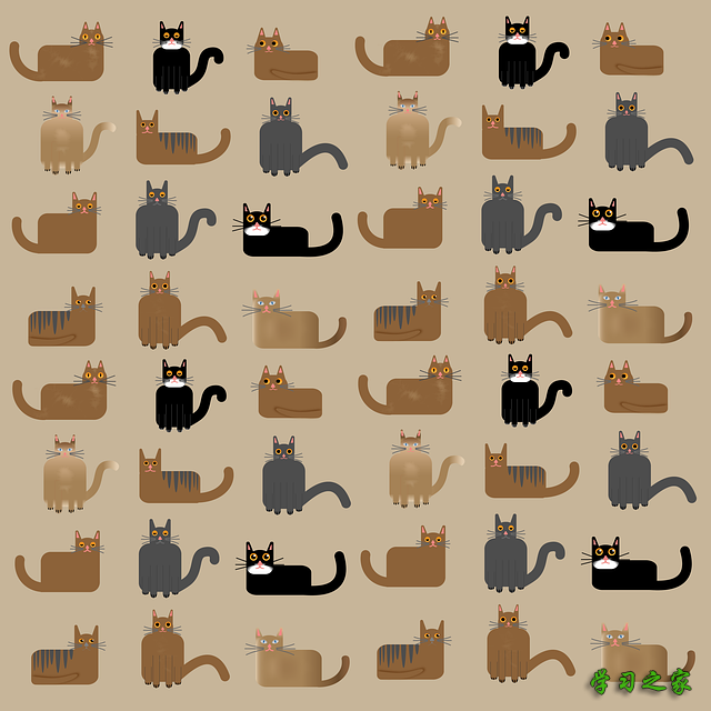 成都单招分数线预估中职 成都单招分数线预估中职