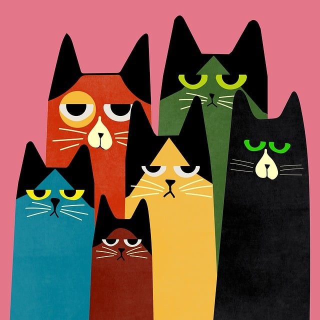 内江泰来计算机职业学校2025年招生简章 内江泰来计算机职业学校2025年招生简章