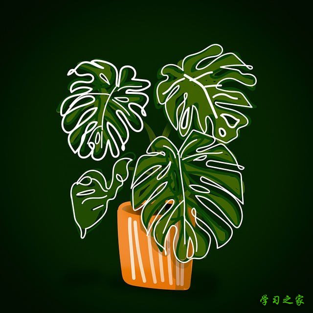 畜牧兽医主要课程