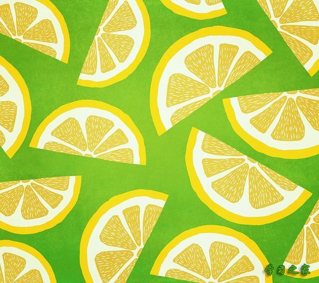 成都市高职院校单招培训