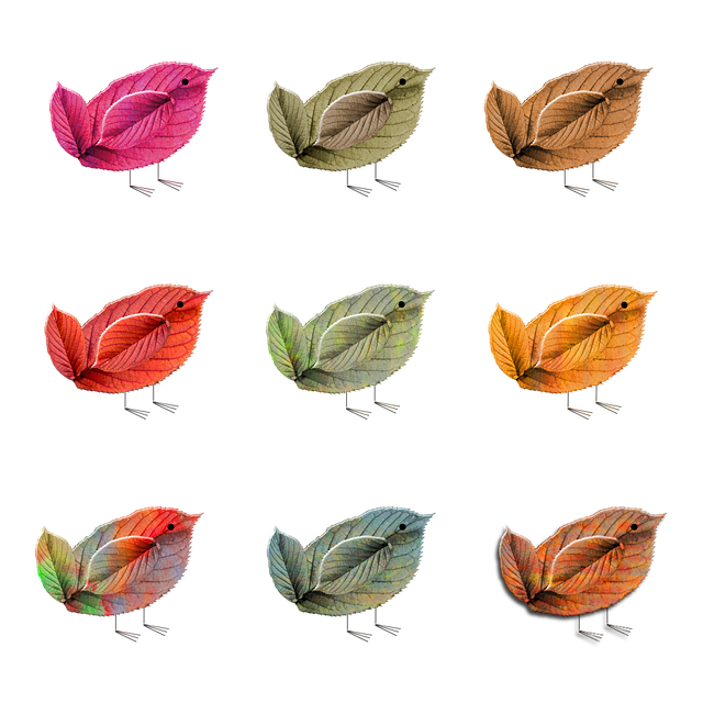 贵阳卫生学校好不好？怎么样