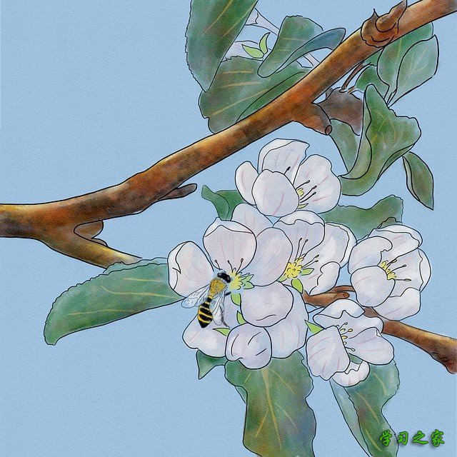 四川省广元哪个航空学校好