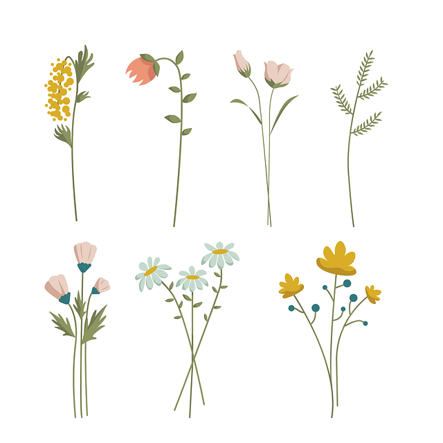 成都市郫都区事业单招培训机构