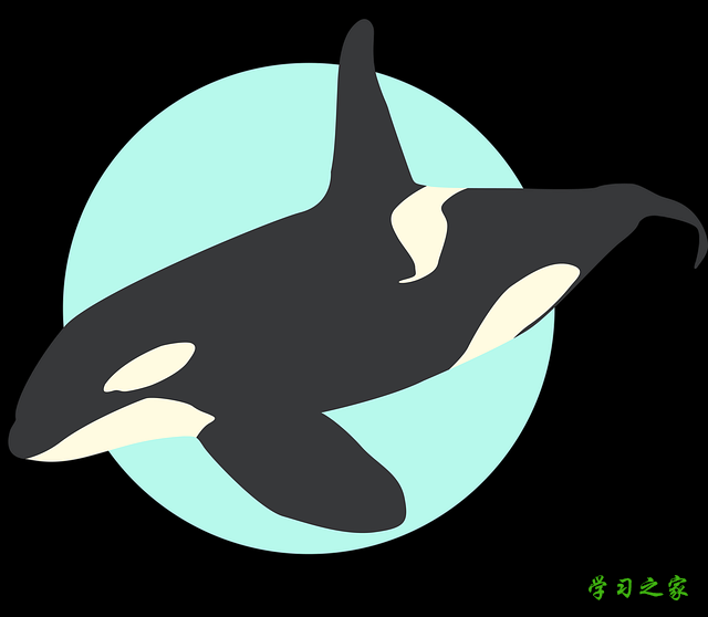 重庆市微电子工业学校的招生专业有哪些?