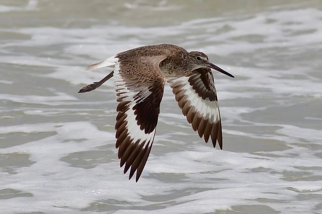 成都双流县单招培训机构推荐