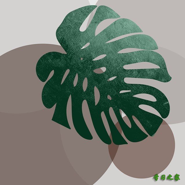 2025年成都市棠湖科学技术学校招生计划