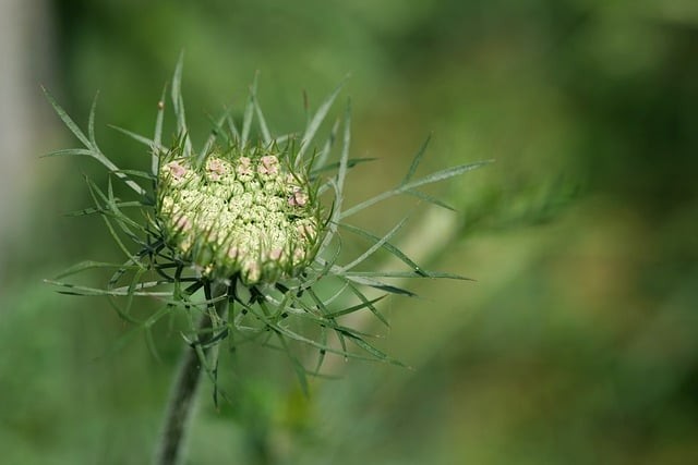 成都单招培训龙泉驿区