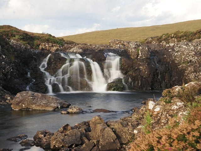 单招培训机构推荐成都2026 单招培训机构推荐成都2026