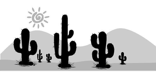 普安县职业教育中心好不好？