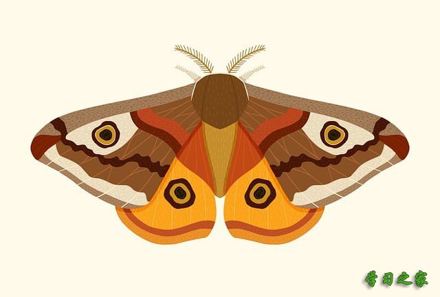 广安计算机职业技术学院2025年招生计划