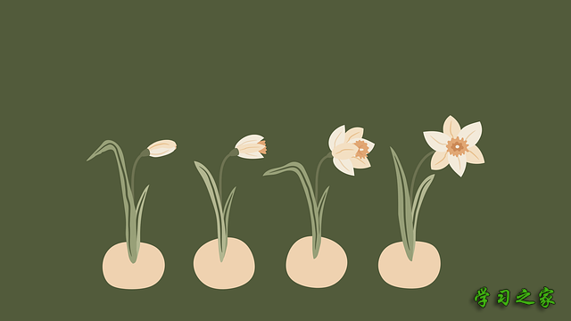 成都市单招培训学样,成都市单招培训机构 成都市单招培训学样,成都市单招培训机构