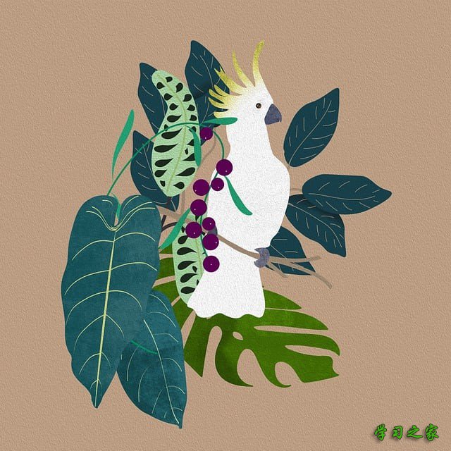 成都单招好的培训学校