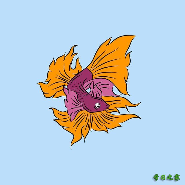 重庆市农业学校学前教育专业怎么样?