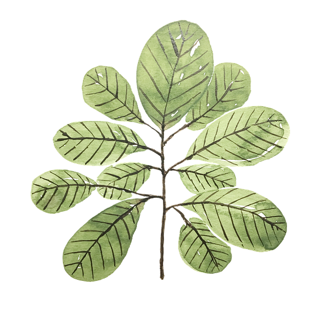 成都单招护理培训机构，成都单招护理学校