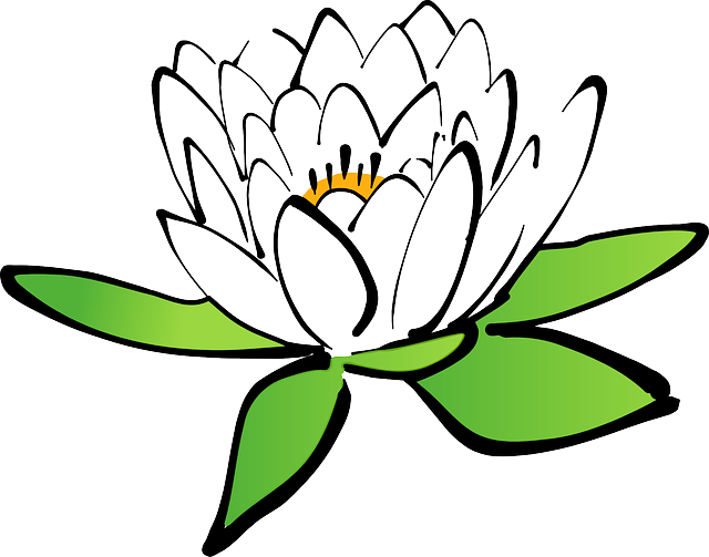 贵阳市高铁学校的就业率如何?