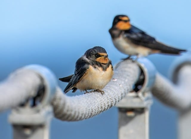 四川成都技校单招时间