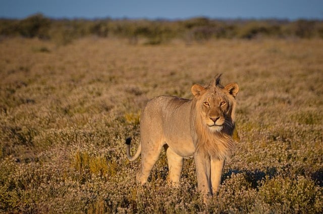 南充成都单招培训学校