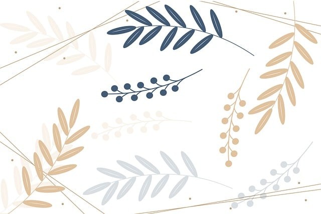 成都单招线下培训机构，成都单招培训学校怎么样