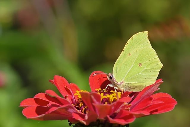 成都中职单招大学生 成都中职单招大学生